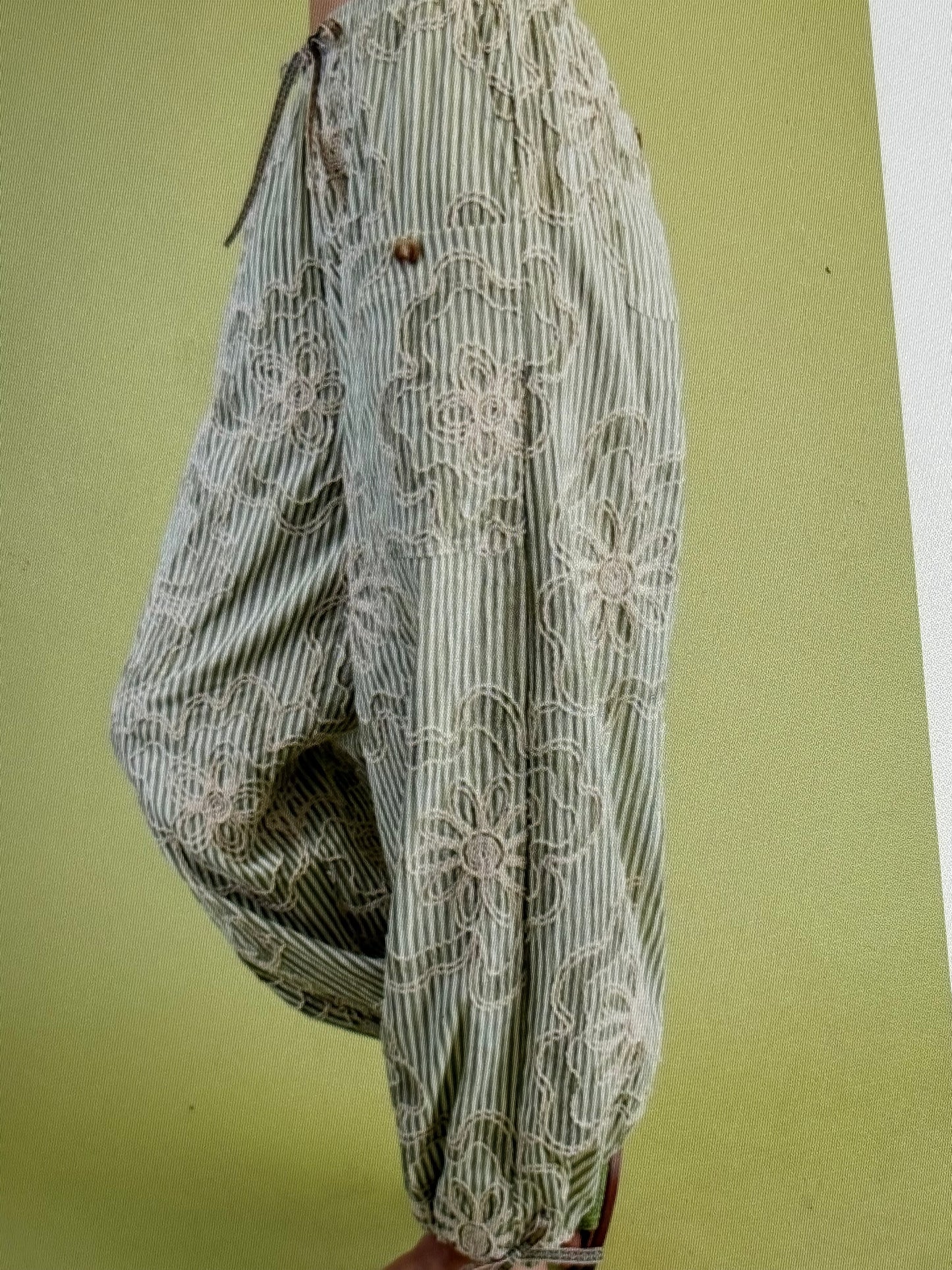 Thread & Ease Pants